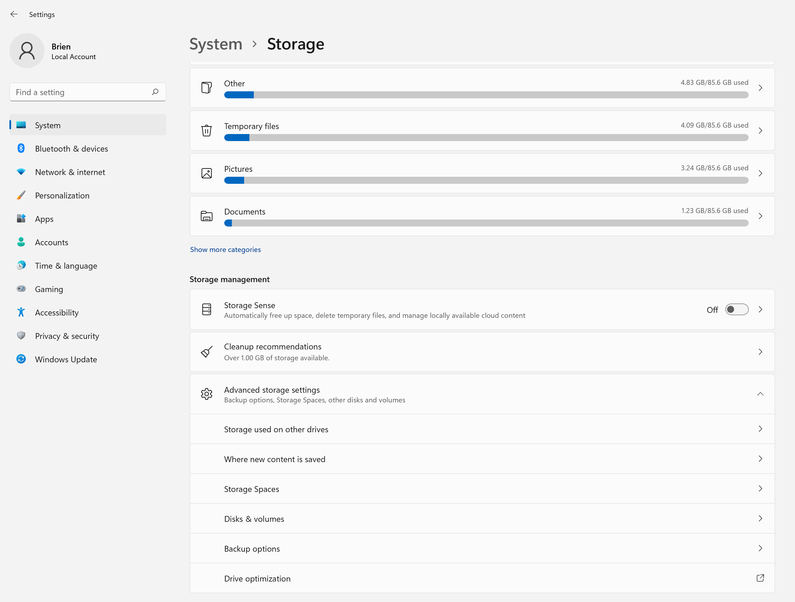 screenshot of Windows 11  storage-related settings