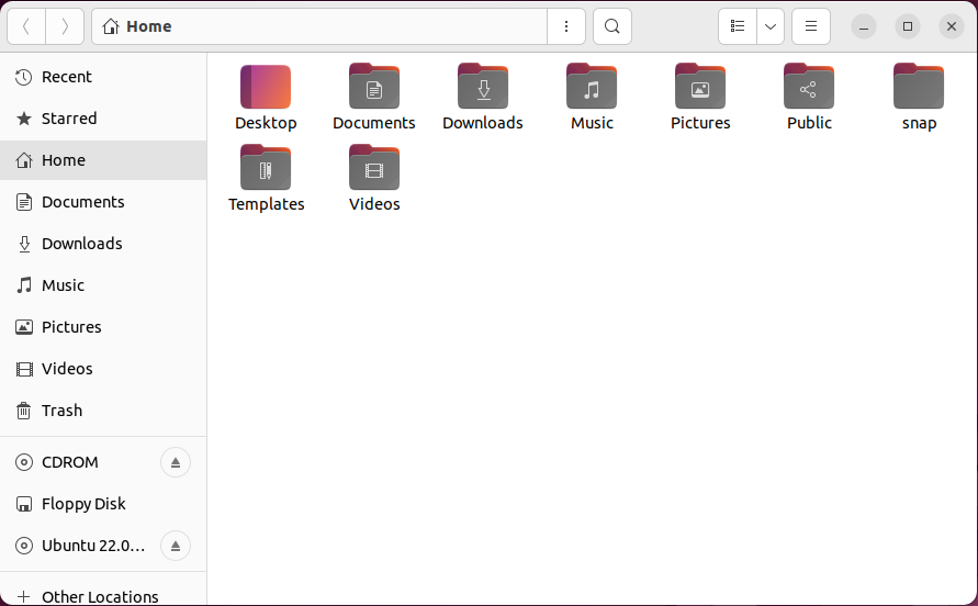 user interface for the GNOME Files file manager